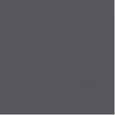 FITA DE BORDA TEGUS GRAFITO 0,45MMX22MM 1 METRO