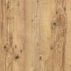 Fita de Borda Antiqua 22mm 25 Metros Tegus